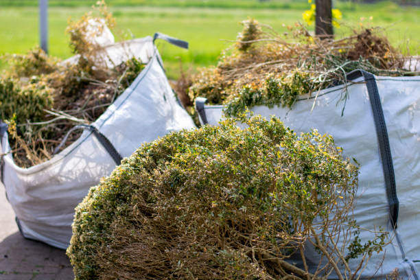 Shed Removal in Mcgregor, TX